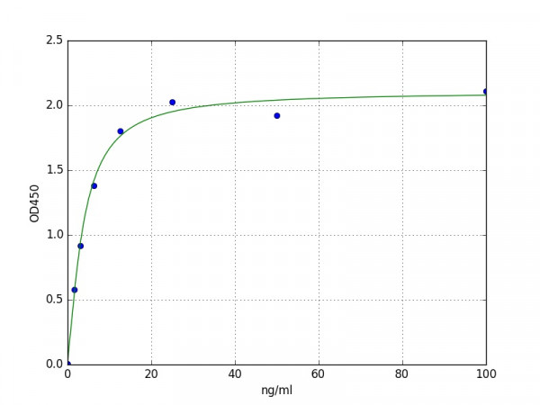 Human CYP2A6 ELISA Kit