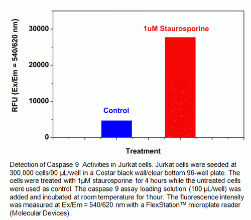 Cell Meter(TM) Caspase 9 Activity Apoptosis Assay Kit (Red Fluorescence)