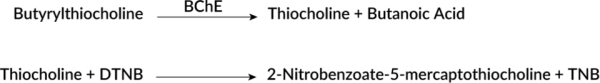 Butyrylcholinesterase Activity Assay Kit