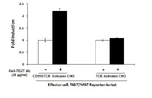 CD155 / TCR Activator - CHO Recombinant Cell line