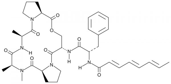 A-54556B