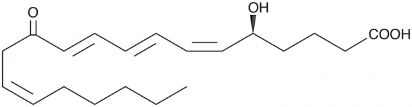 12-oxo Leukotriene B4