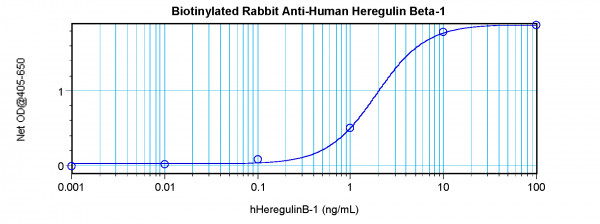 Anti-Heregulin beta1 (Biotin)
