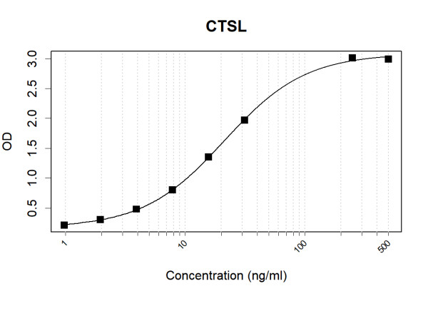 Anti-Human CTSL Antibody Pair