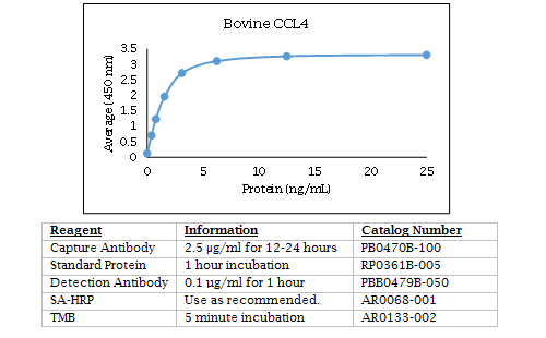 Anti-CCL4 (MIP-1 beta) (bovine)