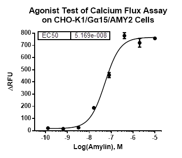 CHO-K1/Galpha15/AMY2 Stable Cell Line