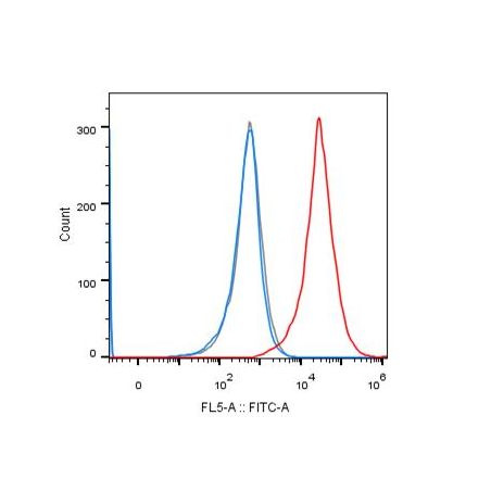 Anti-PD-L1 Antibody (Durvalumab Antibody)