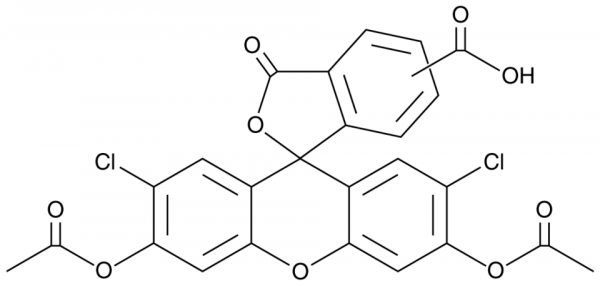 5(6)-Carboxy-2&#039;,7&#039;-dichlorofluorescein diacetate
