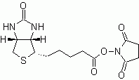 ReadiLink(TM) Protein Biotinylation Kit