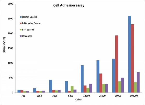Cell Meter(TM) Cell Adhesion Assay Kit