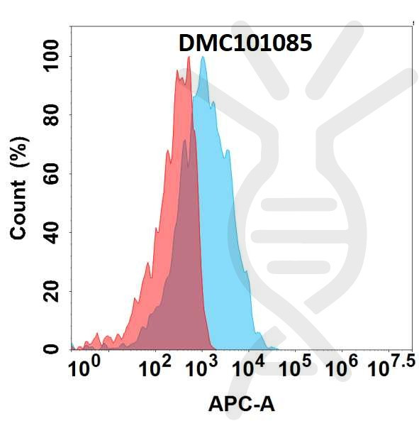 Anti-CD3E antibody(1G2), IgG1 Chimeric mAb