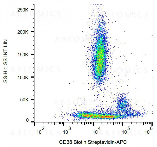 Anti-CD38 Monoclonal Antibody (Clone:HIT2)-Biotin Conjugated
