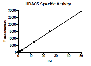 HDAC-5, active human recombinant protein