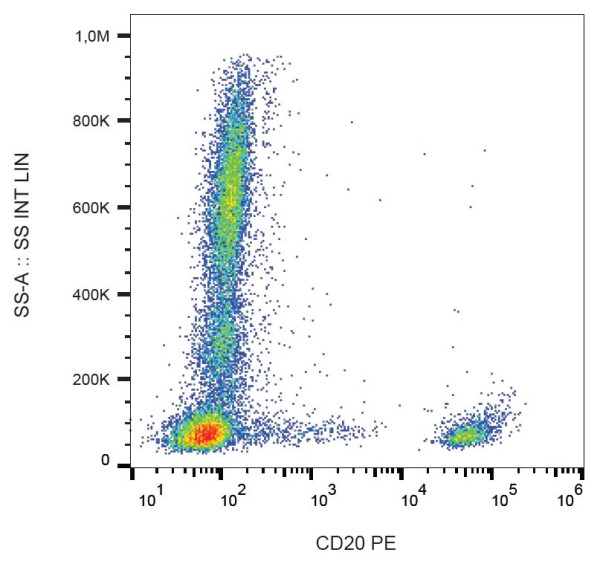 Anti-CD20, clone 2H7 (PE )