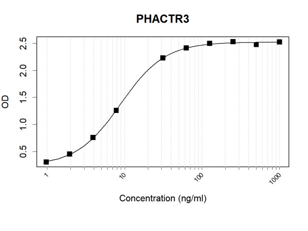Anti-Human PHACTR3 Antibody Pair