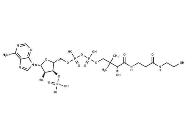 Coenzyme A