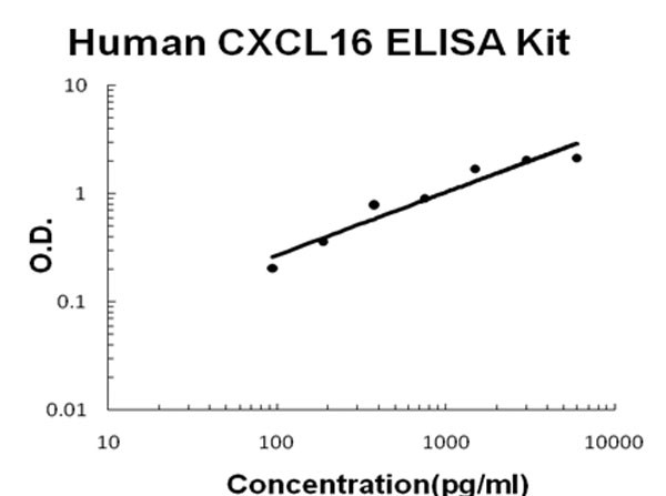 Human CXCL16 ELISA Kit