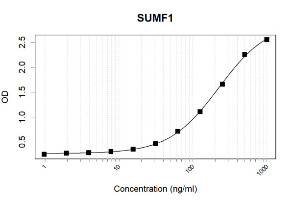 Anti-Human SUMF1 Antibody Pair