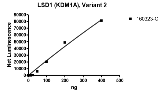 LSD1, cleaved GST-tag