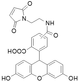 FAM Maleimide
