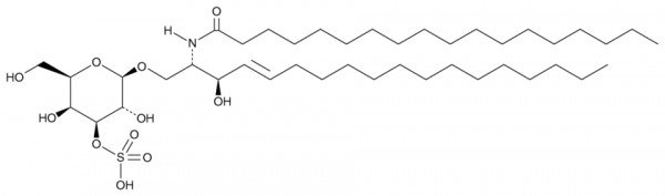 C18 3'-sulfo Galactosylceramide (d18:1/18:0)