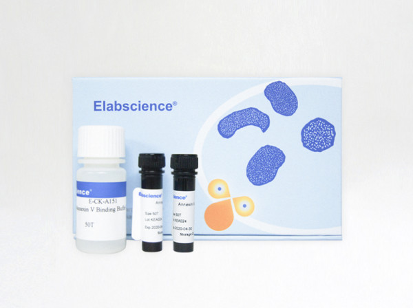 Annexin V-AF647/PI Apoptosis Kit | Elabscience | Biomol.com