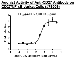 Anti-CD27 Agonist