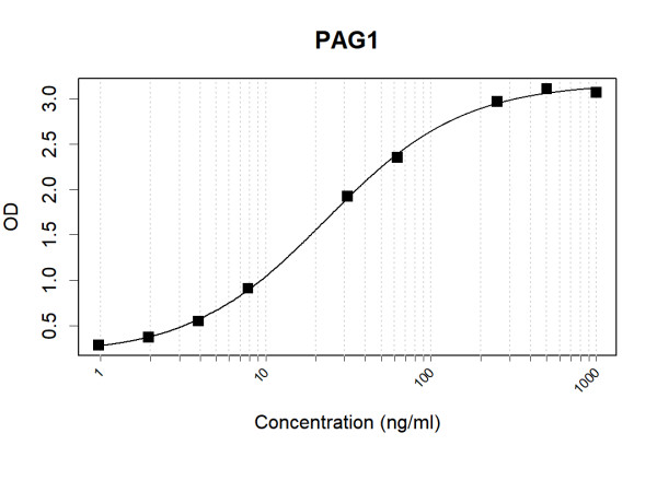 Anti-Human PAG1 Antibody Pair