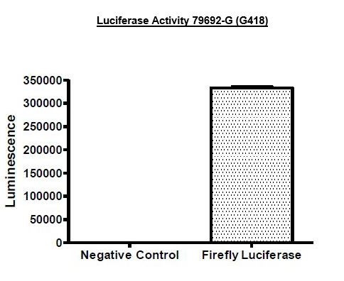 Firefly Luciferase Lentivirus Puromycin