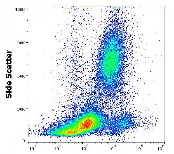 Anti-CD80, clone 16-10A1