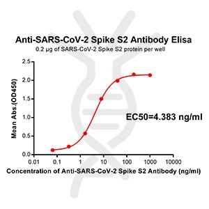 Anti-SARS-CoV-2 Spike antibody(DM41), Rabbit mAb