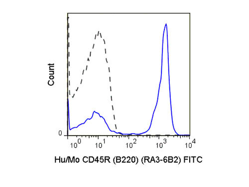 Anti-CD45R (B220) Phycoerythrin Conjugated, clone RA3-6B2
