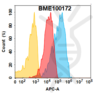 Anti-CD166(praluzatamab biosimilar) mAb