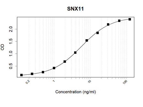 Anti-Human SNX11 Antibody Pair