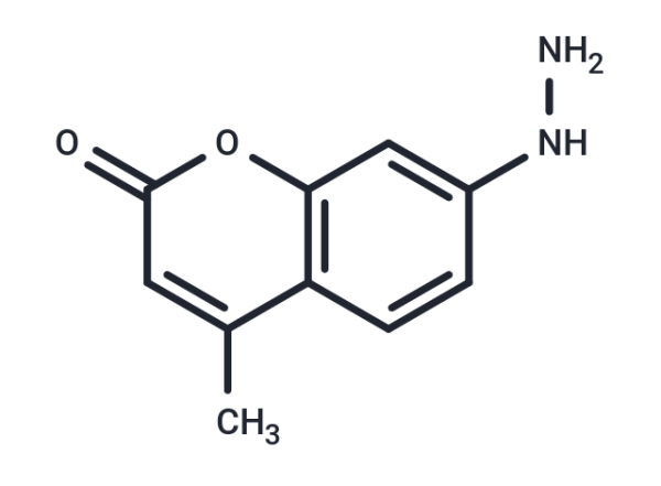 Coumarin hydrazine