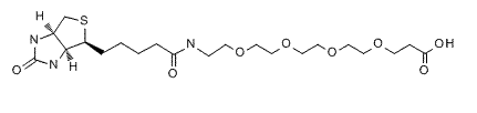 Biotin-PEG4-Acid