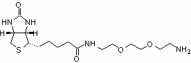 Biotin PEG2 amine