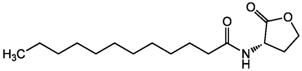 N-Dodecanoyl-L-homoserine lactone