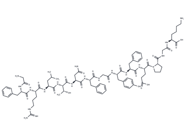 SP2