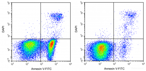 Annexin V-FITC / DAPI Apoptosis Detection Kit