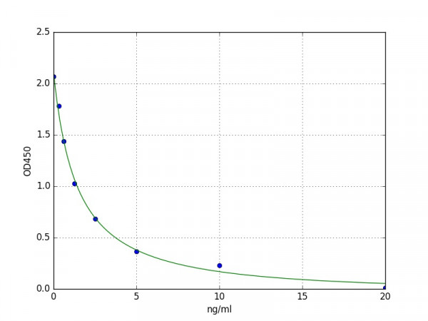 Human MTPAP / Human Poly(A) RNA polymerase ELISA Kit