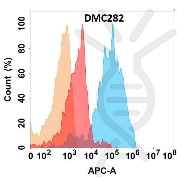 Anti-IL11RA antibody(DMC282), IgG1 Chimeric mAb