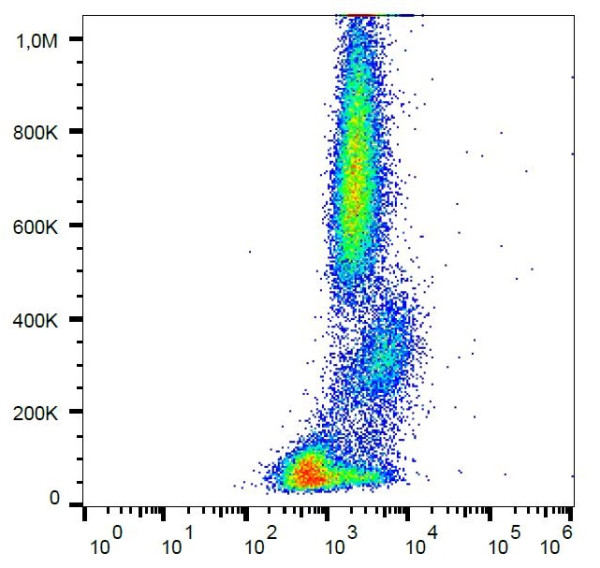 Anti-CD55 / DAF, clone MEM-118 (PE )
