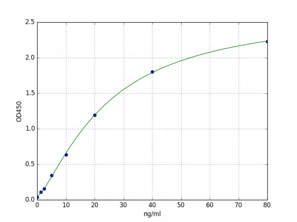 Human Secretogranin 2 / Chromogranin C ELISA Kit