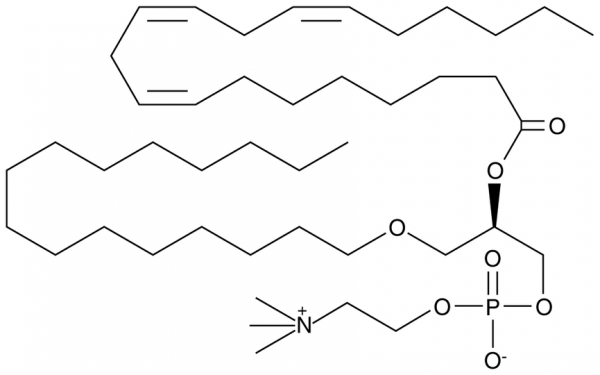 Dihomo-gamma-Linolenoyl PAF C-16