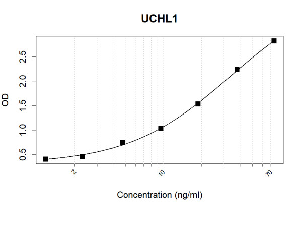 Anti-Human PGP9.5 Antibody Pair