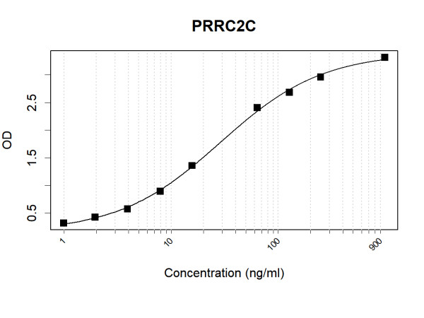 Anti-Human PRRC2C Antibody Pair