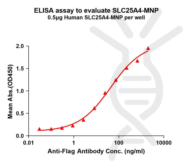 SLC25A4 (human) full length protein-MNP