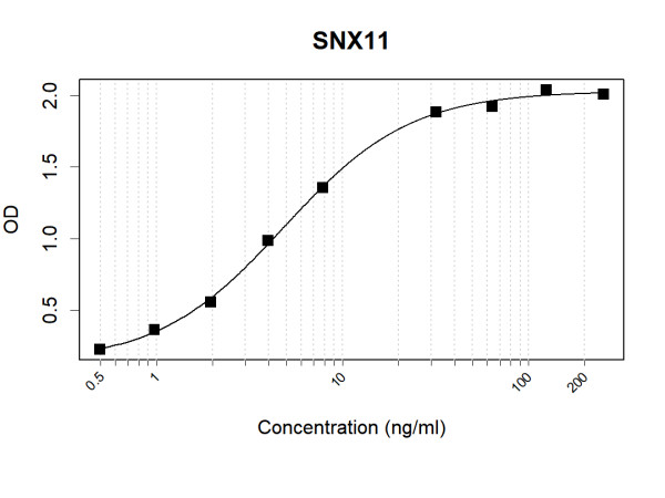 Anti-Human SNX11 Antibody Pair