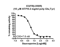 EGFR(L858R) Kinase Assay Kit